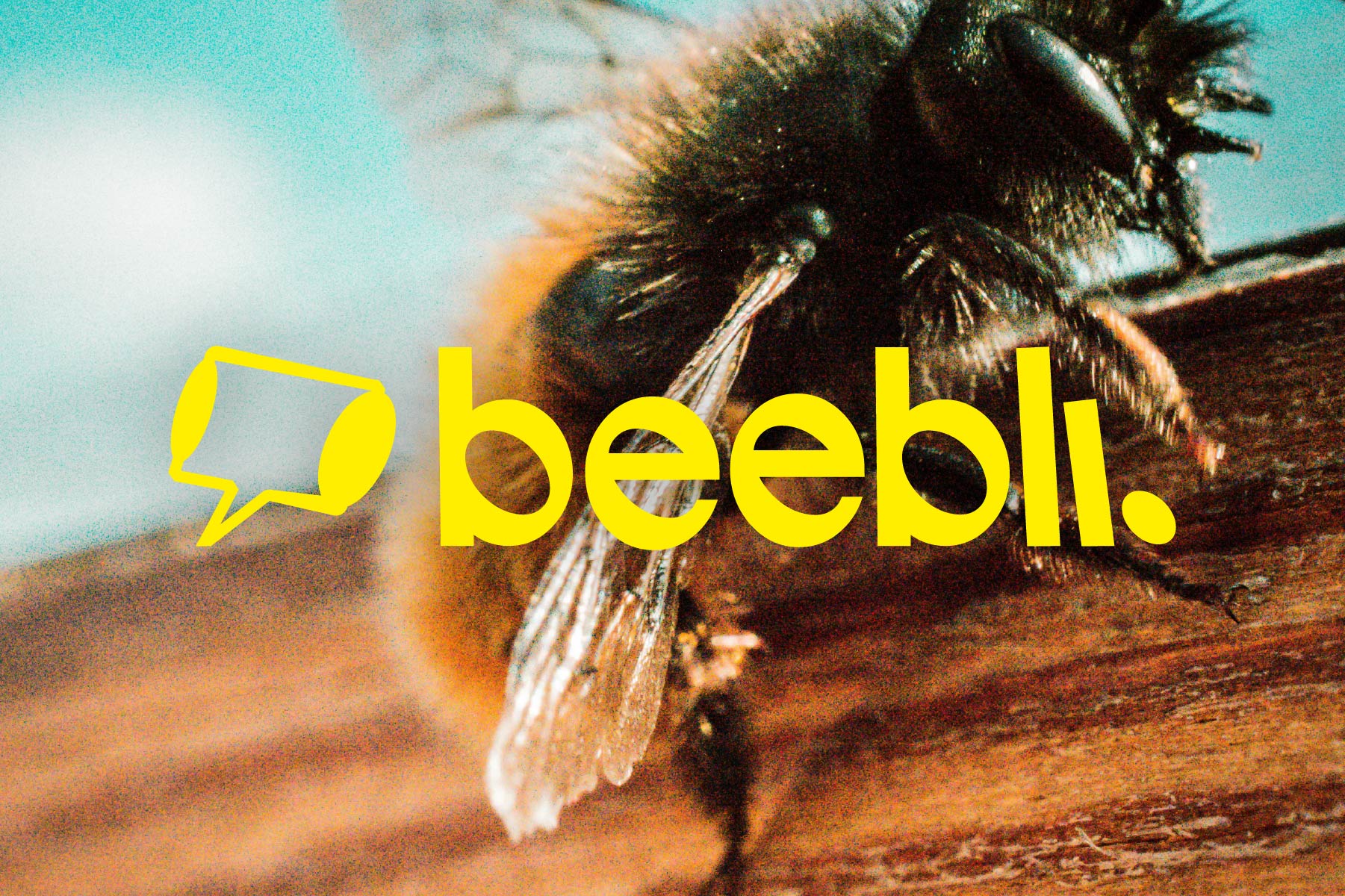 Beebliothèque